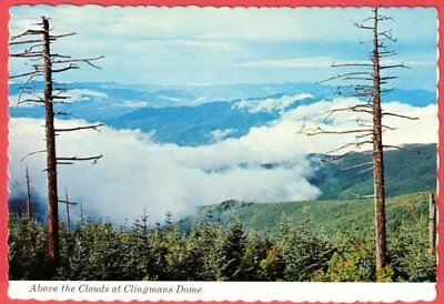 #ad #ad Above the Clouds at Clingmans Dome Great Smoky Mountains NC 1958 Postcard