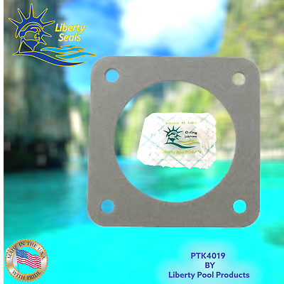 PTK4018 Sta Rite Flange Gasket C20 19 for Commercial Pool Pump By Liberty Seals