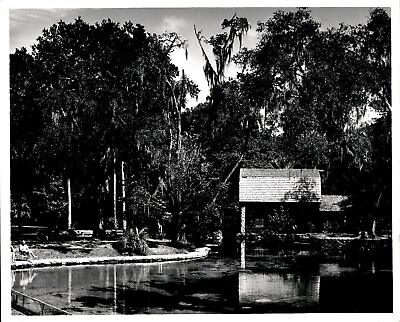 #ad #ad LG982 1962 Orig Photo SWIMMING @ FLORIDA#x27;S OCALA NATIONAL FOREST JUNIPER SPRINGS