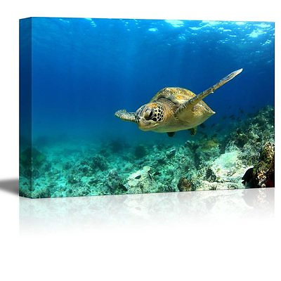 Canvas Prints Green Sea Turtle Swimming Underwater in Deep Ocean Sea 24quot; x 36quot;