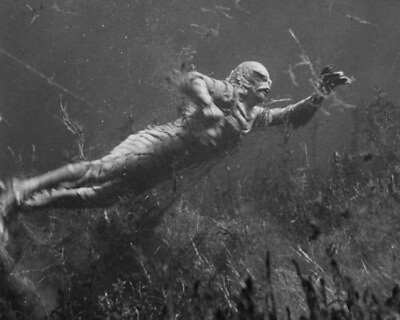 #ad Creature From the Black Lagoon 1954 Gill man swimming underwater 8x10 Photo