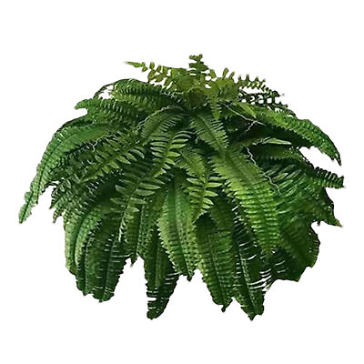 #ad UV Resistant Lifelike Artificial Boston Fern Ferns for Outdoors Faux Fake Plants