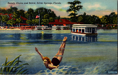 Vintage 1940#x27;s Beauty Above Below Woman Swimming Boat Silver Springs FL Postcard
