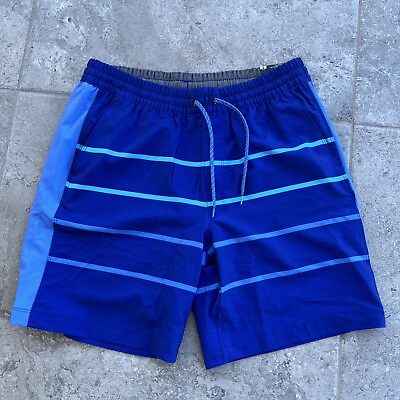 #ad #ad NEW MEN#x27;S HURLEY Lined Blue Striped Volley Pool Swim Trunks Beach Shorts sz L