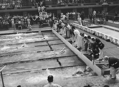 Olympic Swimming Heat at the Empire Pool 1948 OLD PHOTO