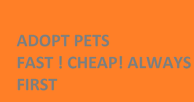 Adopt Pets fast cheap always first
