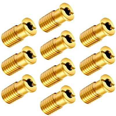 #ad 10 Pieces Brass Pool Cover Anchors Screws Pool Safety Cover Anchor Kit Heavy ...