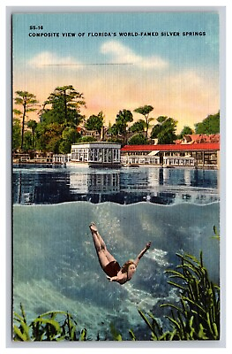 #ad Swimming At World Famous Silver Springs Florida FL Postcard