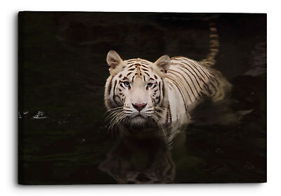 White Tiger Swimming Landscape Canvas Print Wall Art Picture Home Decoration