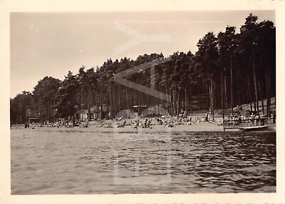 #ad Old Photo Snapshot Summer Swimming At The Lake Surrounded By Tall Trees 2A3