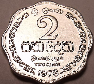 1978 Gem Unc Sri Lanka 1978 2 Cents Last Year Ever Minted This Type Free Ship