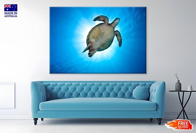 #ad #ad Green Sea Turtle Swimming Over a Coral Reef Canvas Print Unframed Home Decor
