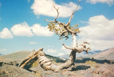 11 CRATERS OF THE MOON NATIONAL MONUMENT IDAHO  35MM COMMERCIAL SLIDES