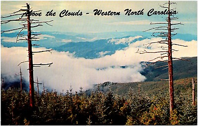 #ad Above the Clouds at Clingmans Dome Smoky Mountains North Carolina Postcard