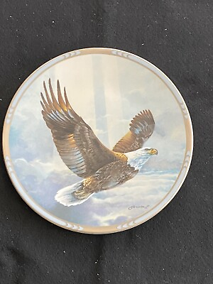 #ad #ad Eagle “Rise Above The Storm” Plate #B3291 by The Fountainhead Corporation