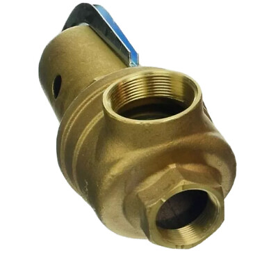 Pentair A2080000 75 PSI Pressure Relief Valve Replacement MT Commercial Pool Hea