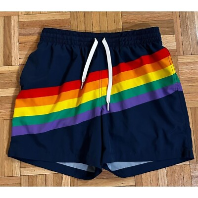 #ad #ad CHubbies Rainbow Stripe Pride Swim Trunks Shorts Mens Small Lined 5.5quot; Colorful