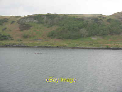 #ad Photo 12x8 Wooded cliffs on Kerrera Pulpit Hill Above Port nan Fhearma se c2014