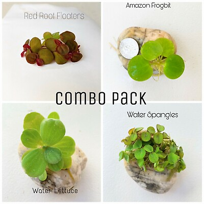 Floating Plants Combo Pack Red Root Water Lettuce Amazon Frogbit Water Sponge