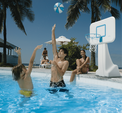 #ad Dunn Rite B950 STAINLESS PoolSport Swim Pool Basketball Hoop Portable 13.5quot; rim