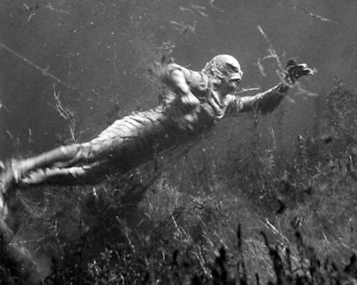 Creature From The Black Lagoon Gill Man swimming underwater 16x20 poster