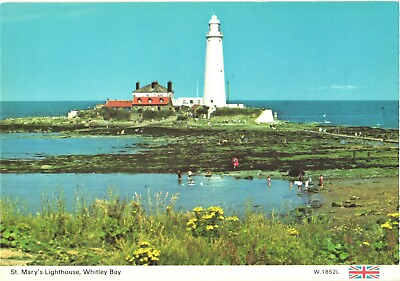 #ad Families Swimming Near St. Mary#x27;s Lighthouse Whitley Bay England Postcard