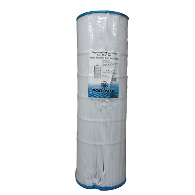 #ad Poolman Swimming Pool amp; Spa Replacement Filter Cartridge 150 Sq Ft 25005 Busted