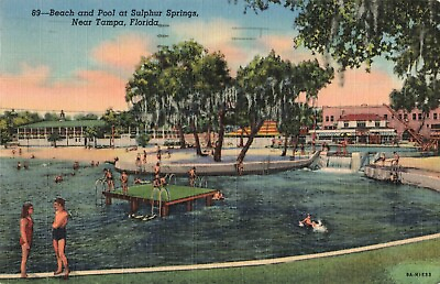 #ad circa 1940#x27;s Sulphur Springs Beach Swimming Florida Postcard 2T7 147