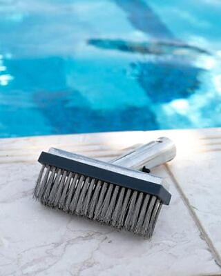 #ad Heavy Duty Pool Brush 5 Inch Pool Wire Brush for Cleaning Algae amp; Rust Dura...