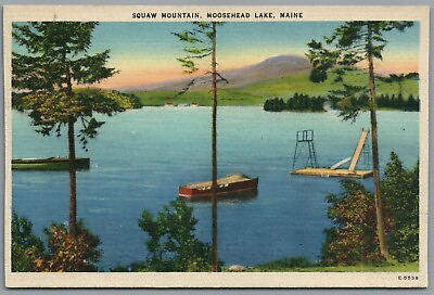 Postcard Moosehead Lake ME Squaw Mountain boats swimming slide posted 1949