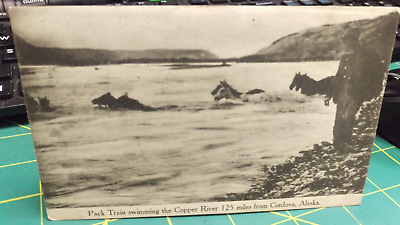 #ad Alaska Postcard Pack Train Swimming Copper River Cordova Alaska POSTED 1910