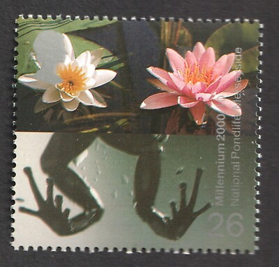#ad 2000 26p Frog Legs amp; Water Lilies. Pond Life Millennium Water amp; Coast UM SG 2135